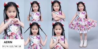 Aerin