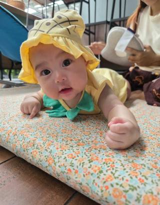 Mifan